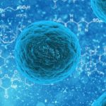 8 Different Types of Stem Cells & Why They’re Important
