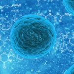 Stem Cell Therapy:  A Controversy or Breakthrough?