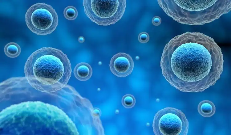 exosome stem cell therapy Newport Beach
