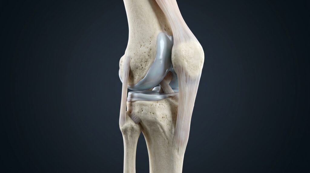 knee stem cell therapy cost 3